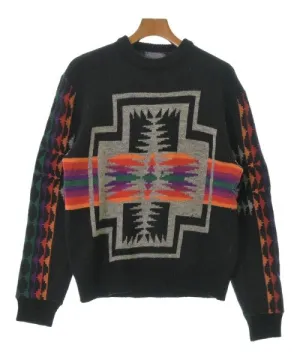 PENDLETON Pullover