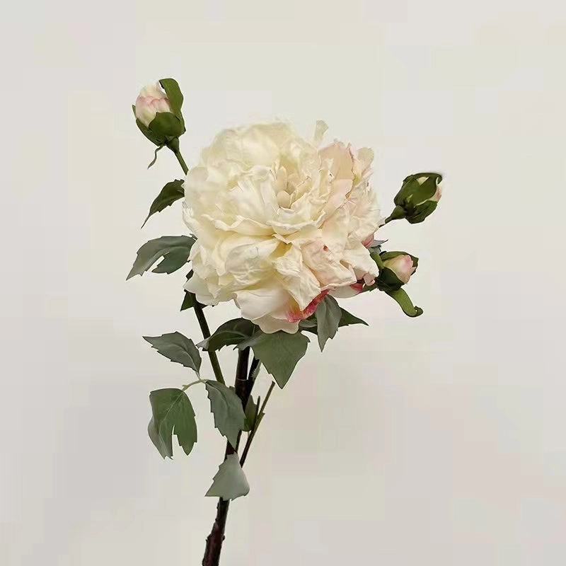 Peony 2 Heads Artificial Silk Flower 58cm Stem PEONY028-031