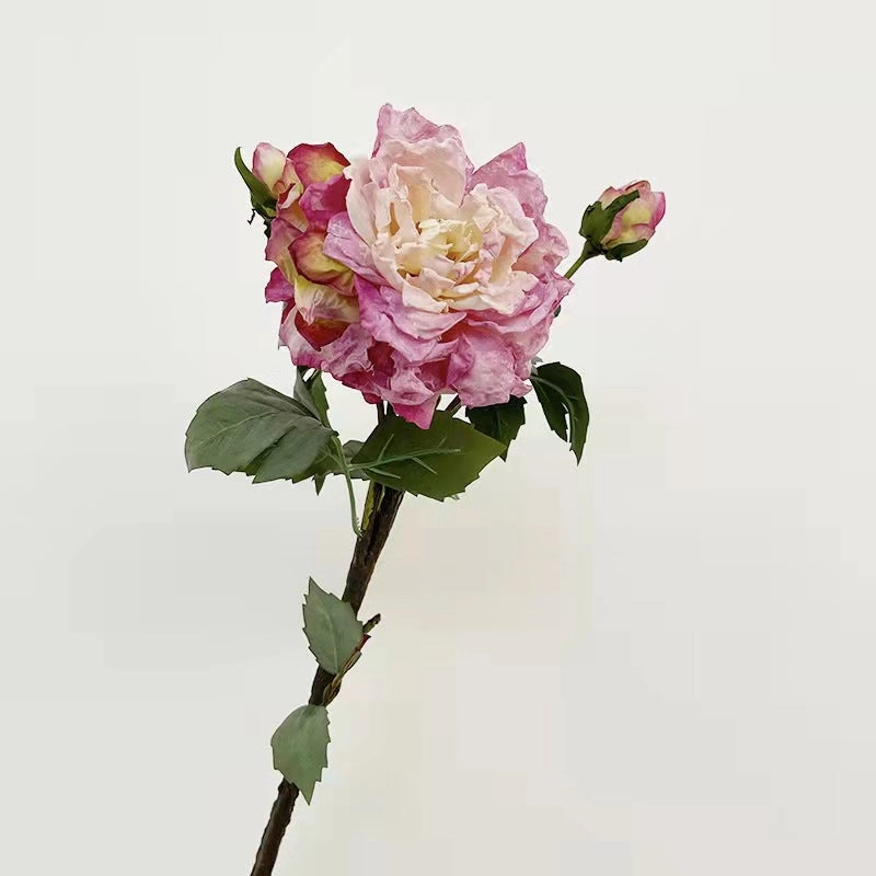 Peony 2 Heads Artificial Silk Flower 58cm Stem PEONY028-031