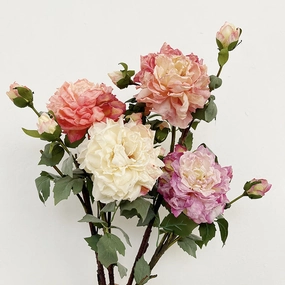 Peony 2 Heads Artificial Silk Flower 58cm Stem PEONY028-031,dried artificial flower