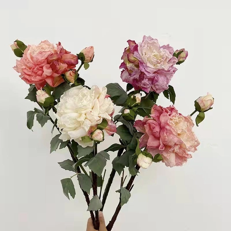 Peony 2 Heads Artificial Silk Flower 58cm Stem PEONY028-031