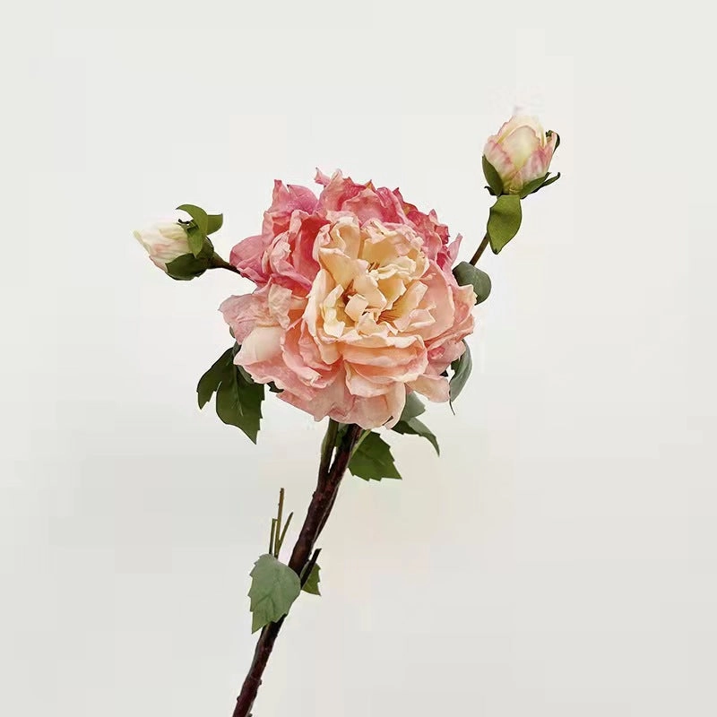 Peony 2 Heads Artificial Silk Flower 58cm Stem PEONY028-031