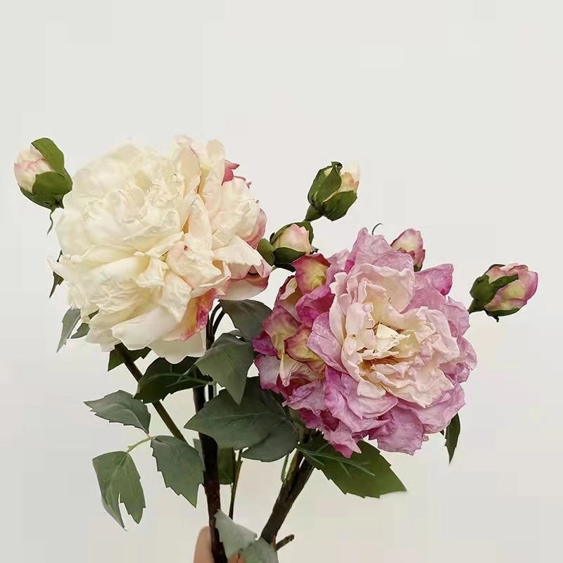 Peony 2 Heads Artificial Silk Flower 58cm Stem PEONY028-031