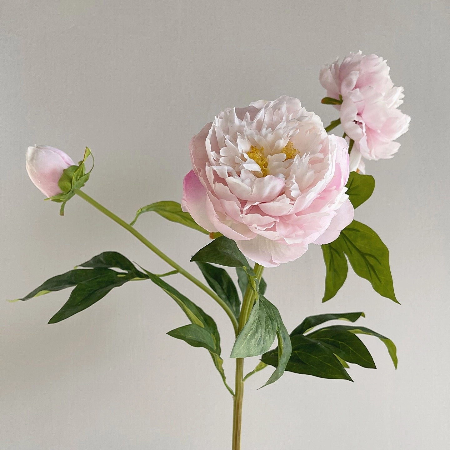 Peony 3 Heads Artificial Silk Flower Stem 5 color Selections