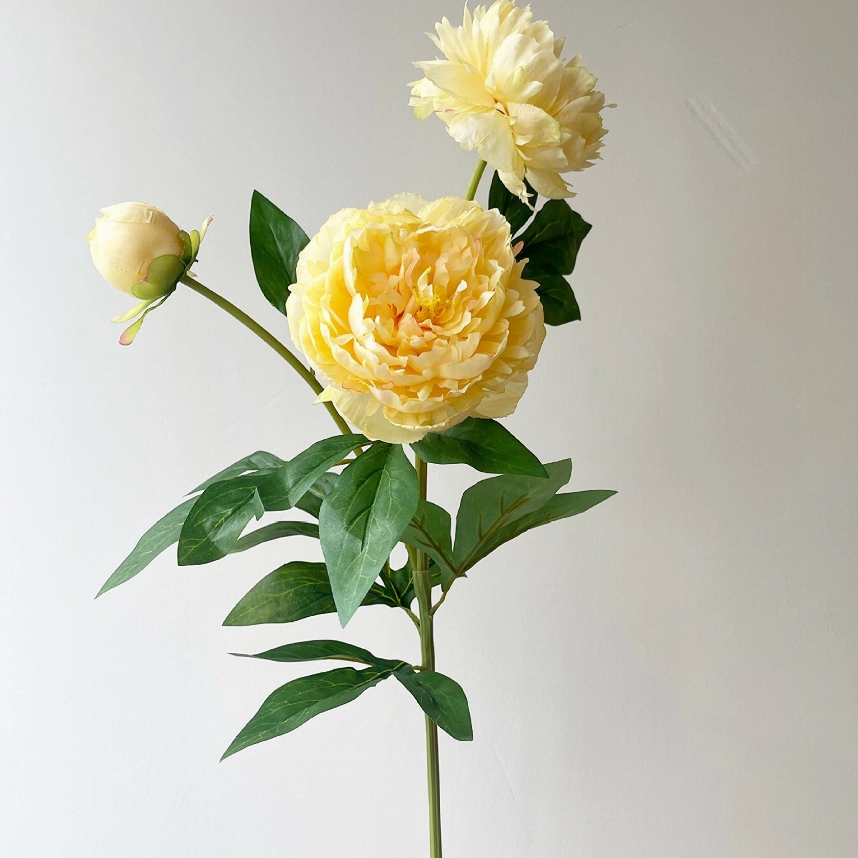 Peony 3 Heads Artificial Silk Flower Stem 5 color Selections