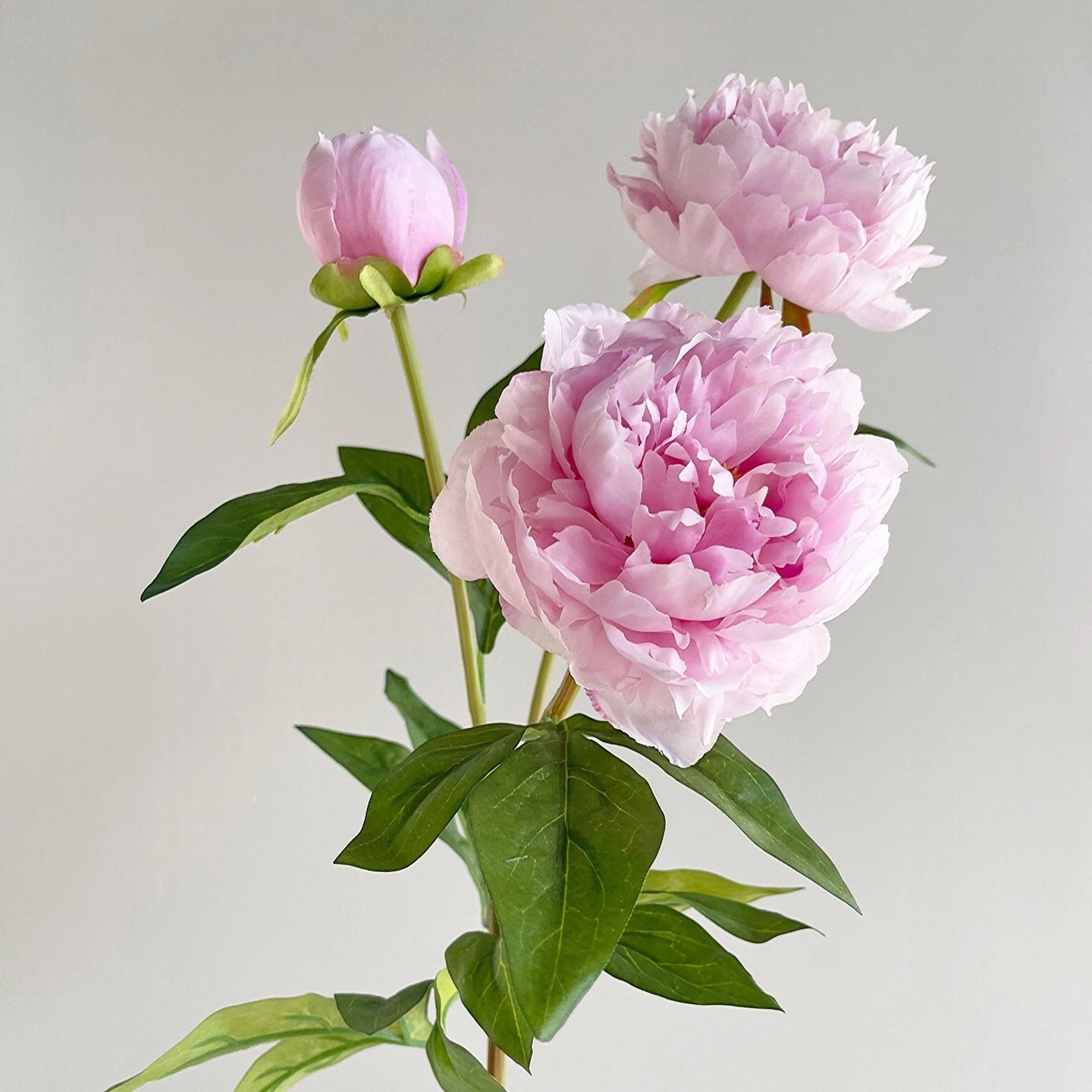Peony 3 Heads Artificial Silk Flower Stem 5 color Selections
