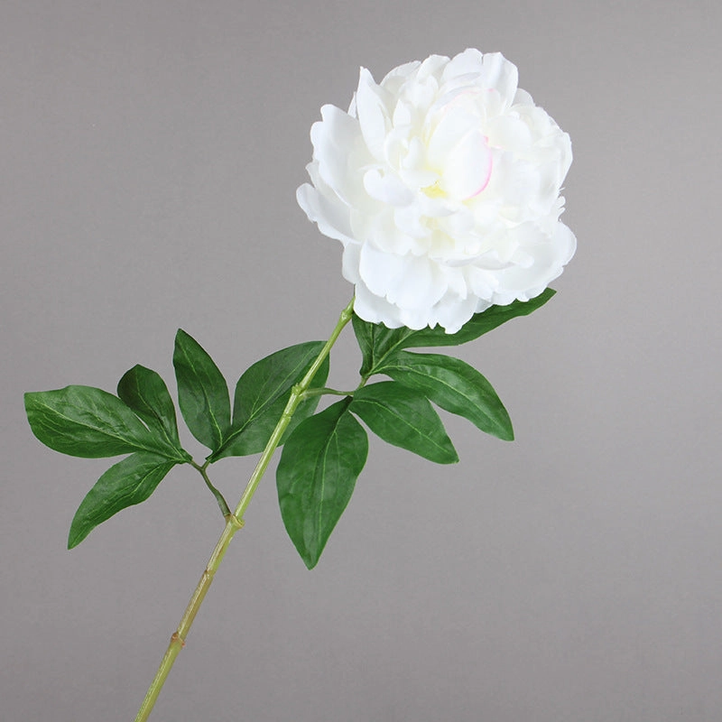 Peony Single Heads Artificial Flower Stem 5 color Selection