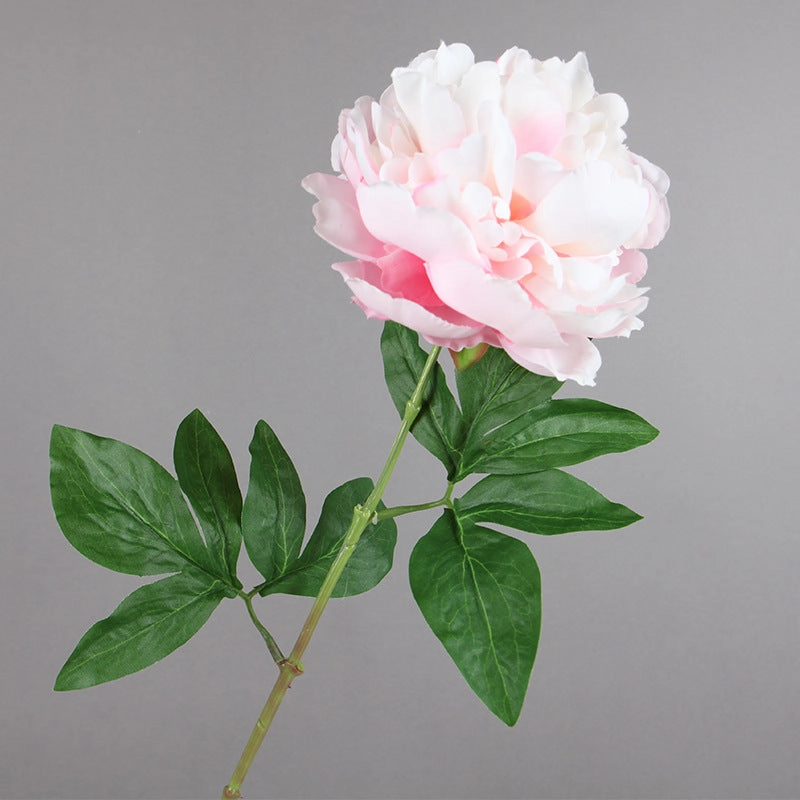 Peony Single Heads Artificial Flower Stem 5 color Selection,dried artificial flower