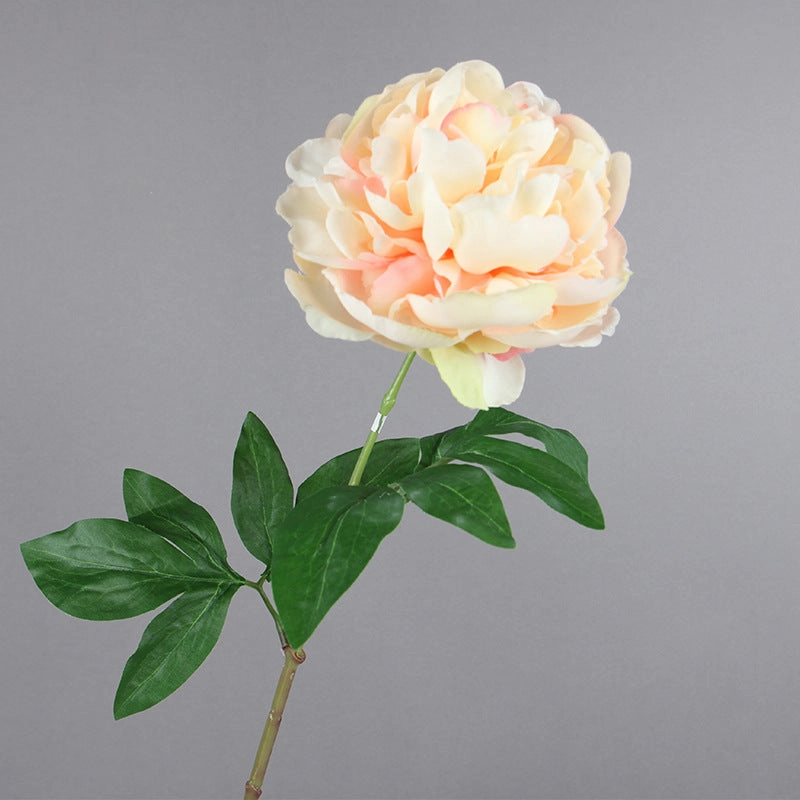 Peony Single Heads Artificial Flower Stem 5 color Selection