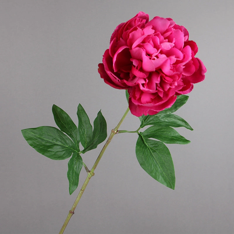 Peony Single Heads Artificial Flower Stem 5 color Selection