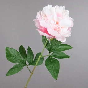 Peony Single Heads Artificial Flower Stem 5 color Selection,dried artificial flower