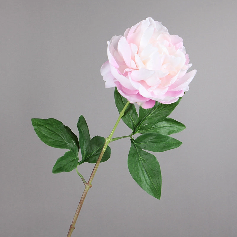 Peony Single Heads Artificial Flower Stem 5 color Selection