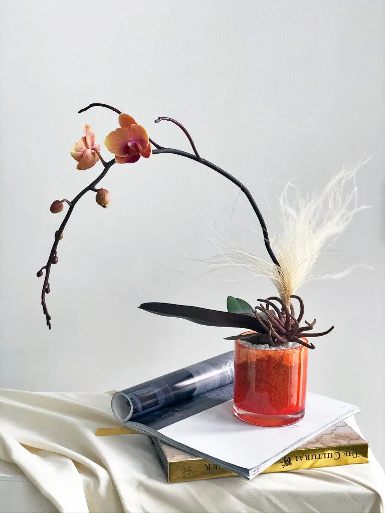 Petite Orchid Arrangement