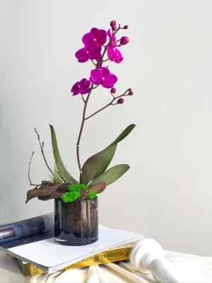 Petite Orchid Arrangement,realistic flower bouquet 