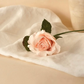 Petite Rose Lady en papier champagne,mother's day bouquet
