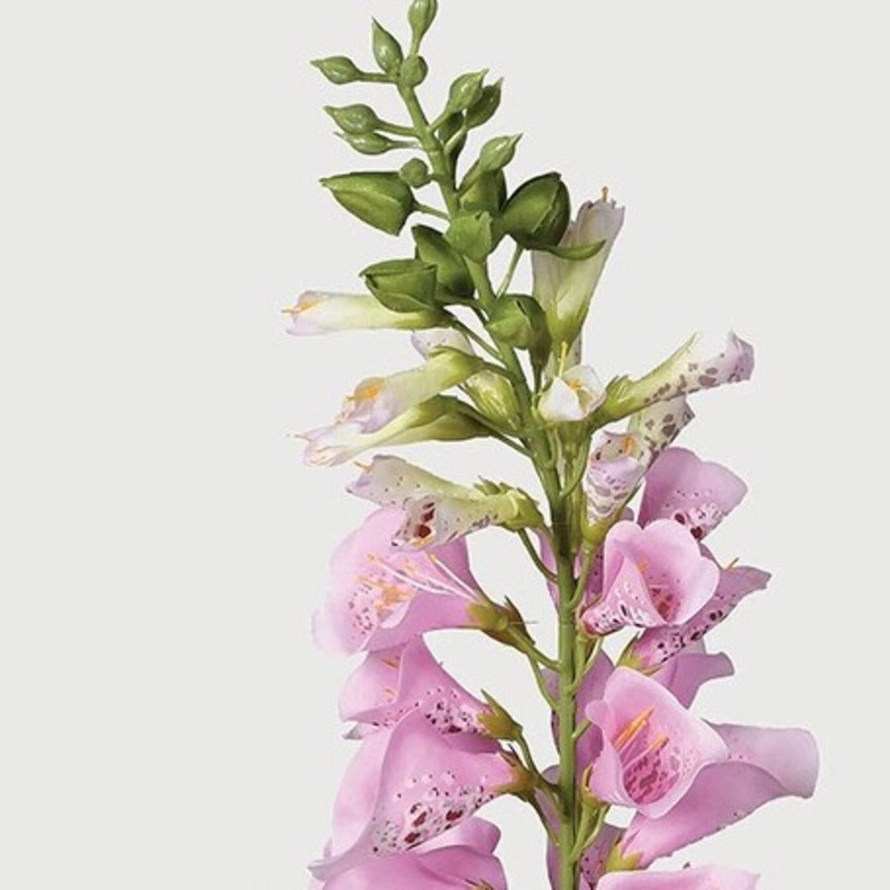 Pink Foxglove Spray with Leaves 87cm