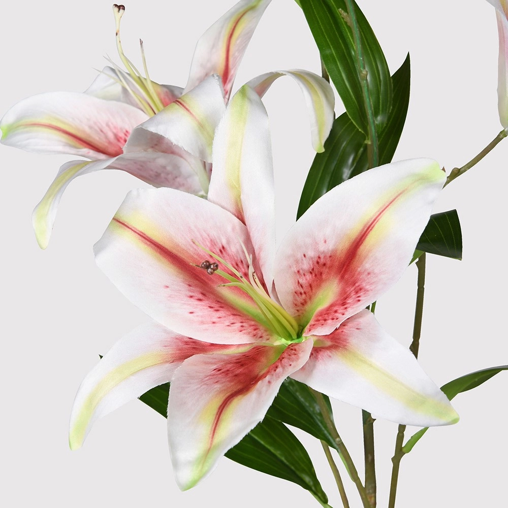 Pink Stargazer Lily Spray with Leaves 110cm
