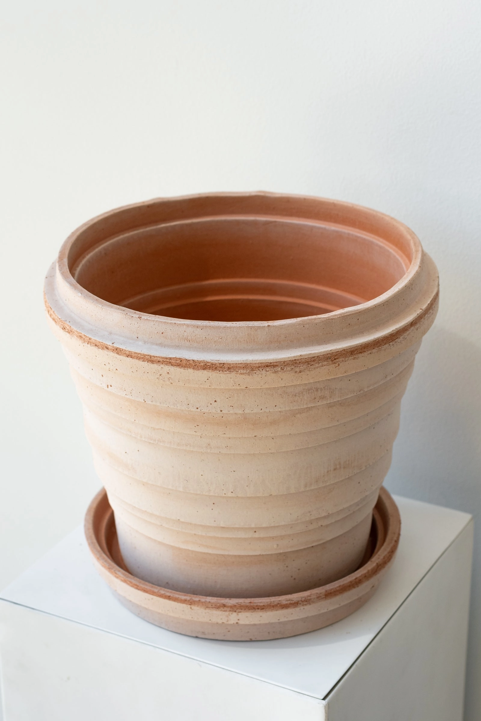 Planets Jupiter Pot & Saucer Rosa 9.8