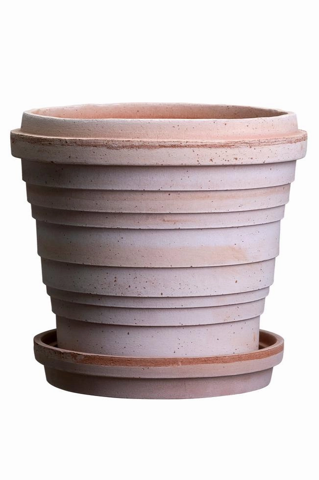 Planets Jupiter Pot & Saucer Rosa 9.8