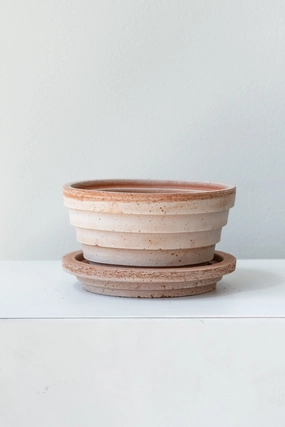 Planets Mars Pot & Saucer Rosa 4.7,indoor flower container