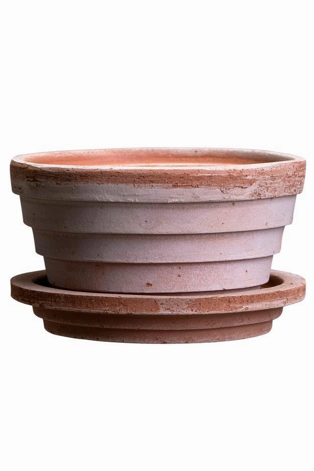 Planets Mars Pot & Saucer Rosa 4.7