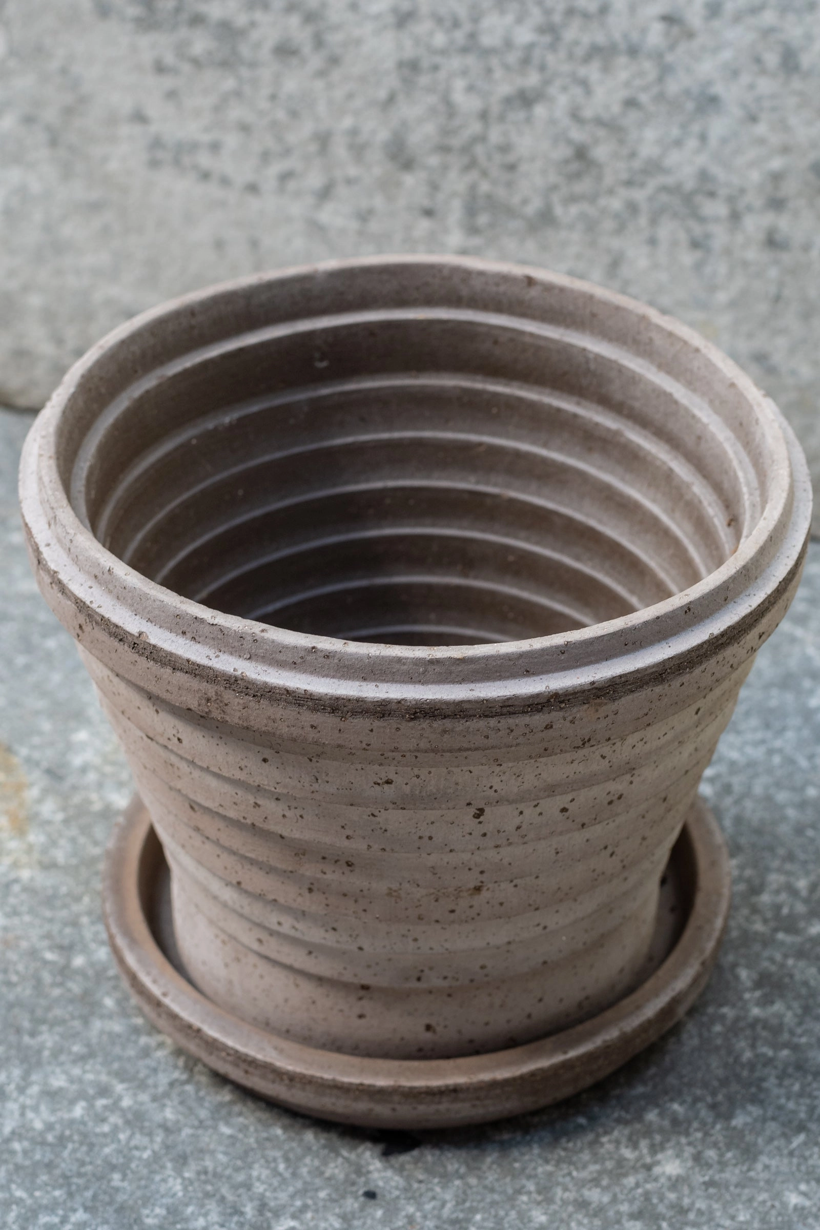 Planets Neptune Pot & Saucer Grey 8.3