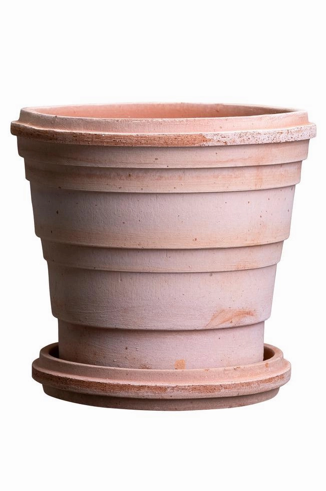 Planets Saturn Pot & Saucer Rosa 6.3