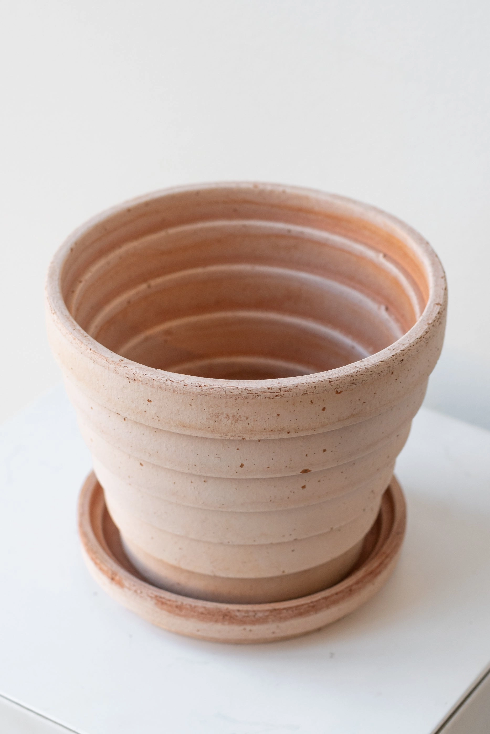 Planets Venus Pot & Saucer Rosa 5.5