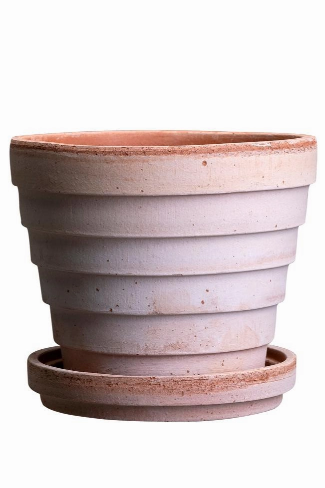 Planets Venus Pot & Saucer Rosa 5.5