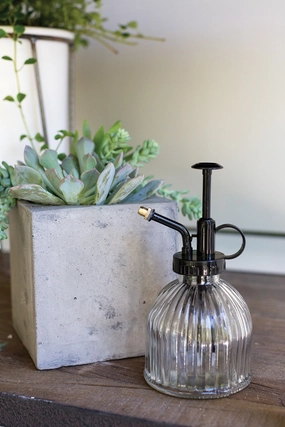 Plant Mister Black,potted plant decor