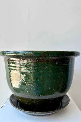 Planter Jade Green Glaze 8",indoor flower container