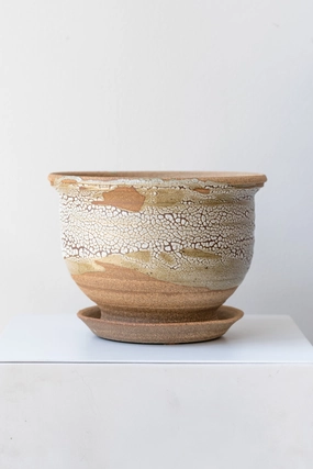 Planter Super Crackle Glaze 6",indoor flower container