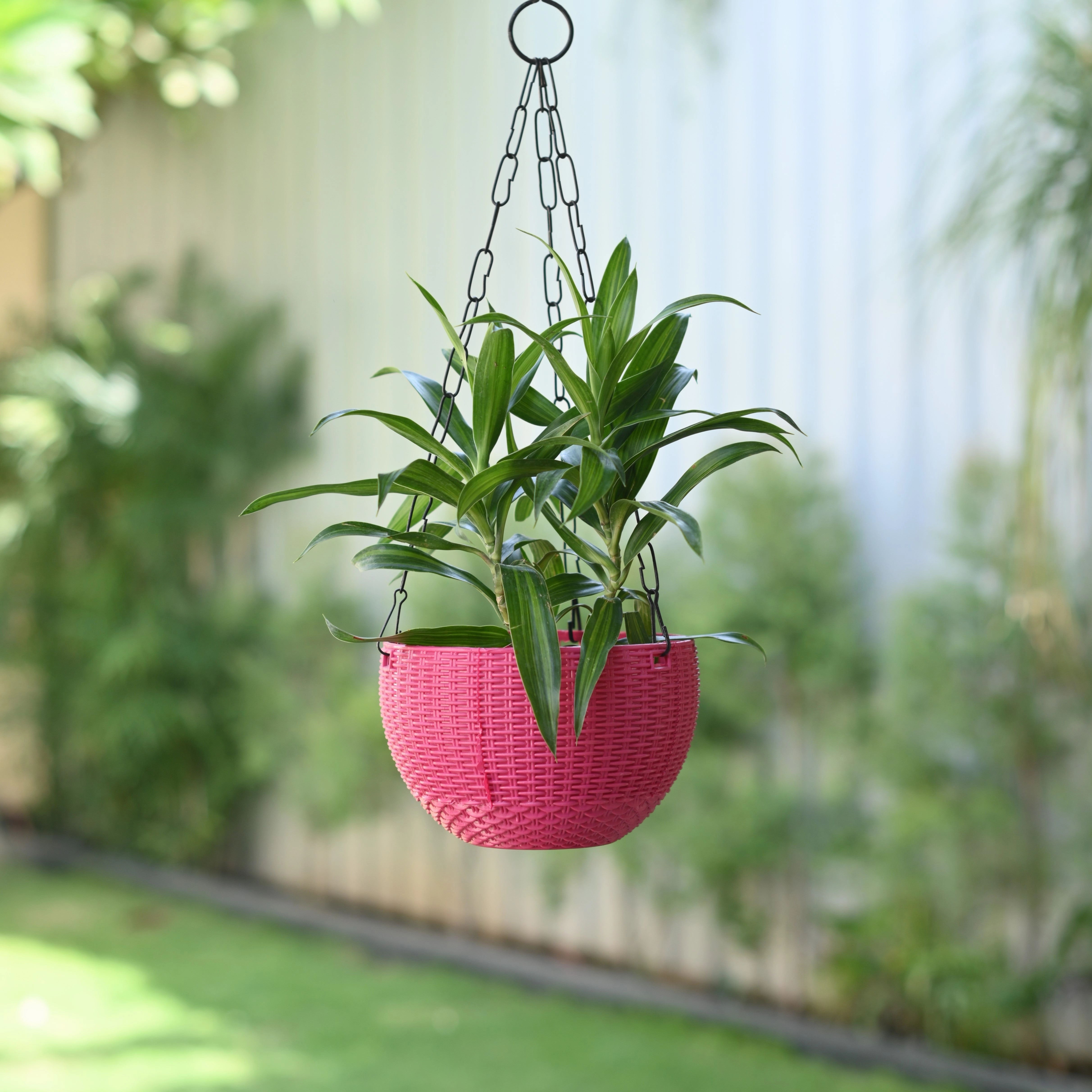 Plastic Rattan Hanging 7.6" Pot With Chain- Set of 4,hanging suspension frame