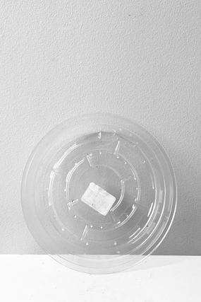 Plastic saucer 6",potted plant decor