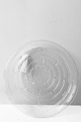 Plastic saucer 8",indoor flower container