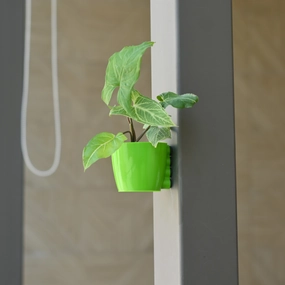 Plastic Small Magnetic Pot- Set of 5,classic ceramic flowerpot