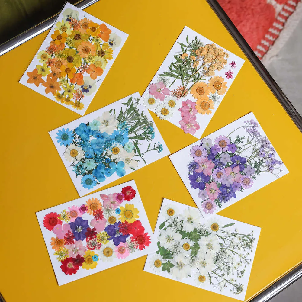 Pochette Fleurs presses bleues