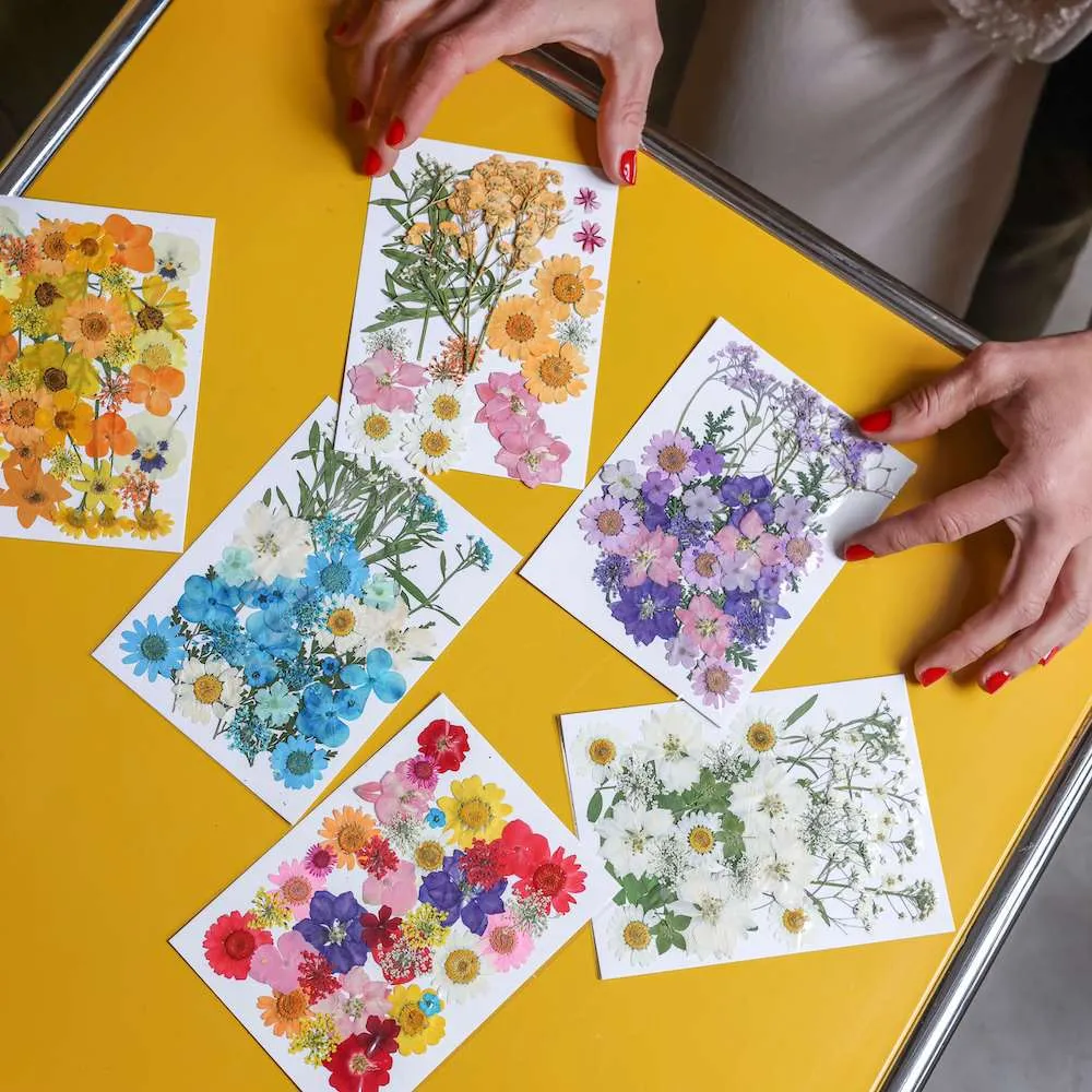 Pochette Fleurs presses bleues