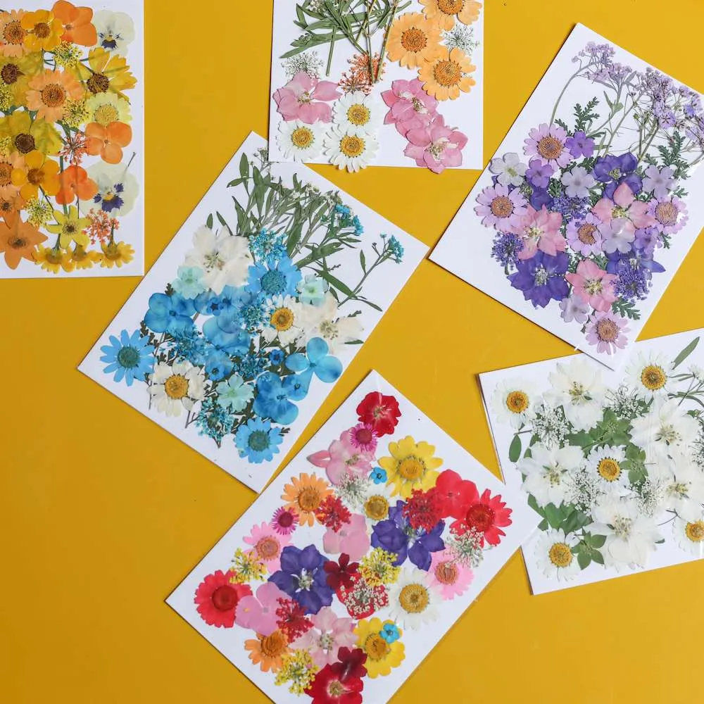 Pochette Fleurs presses bleues