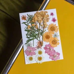 Pochette Fleurs presses roses,artificial single flower