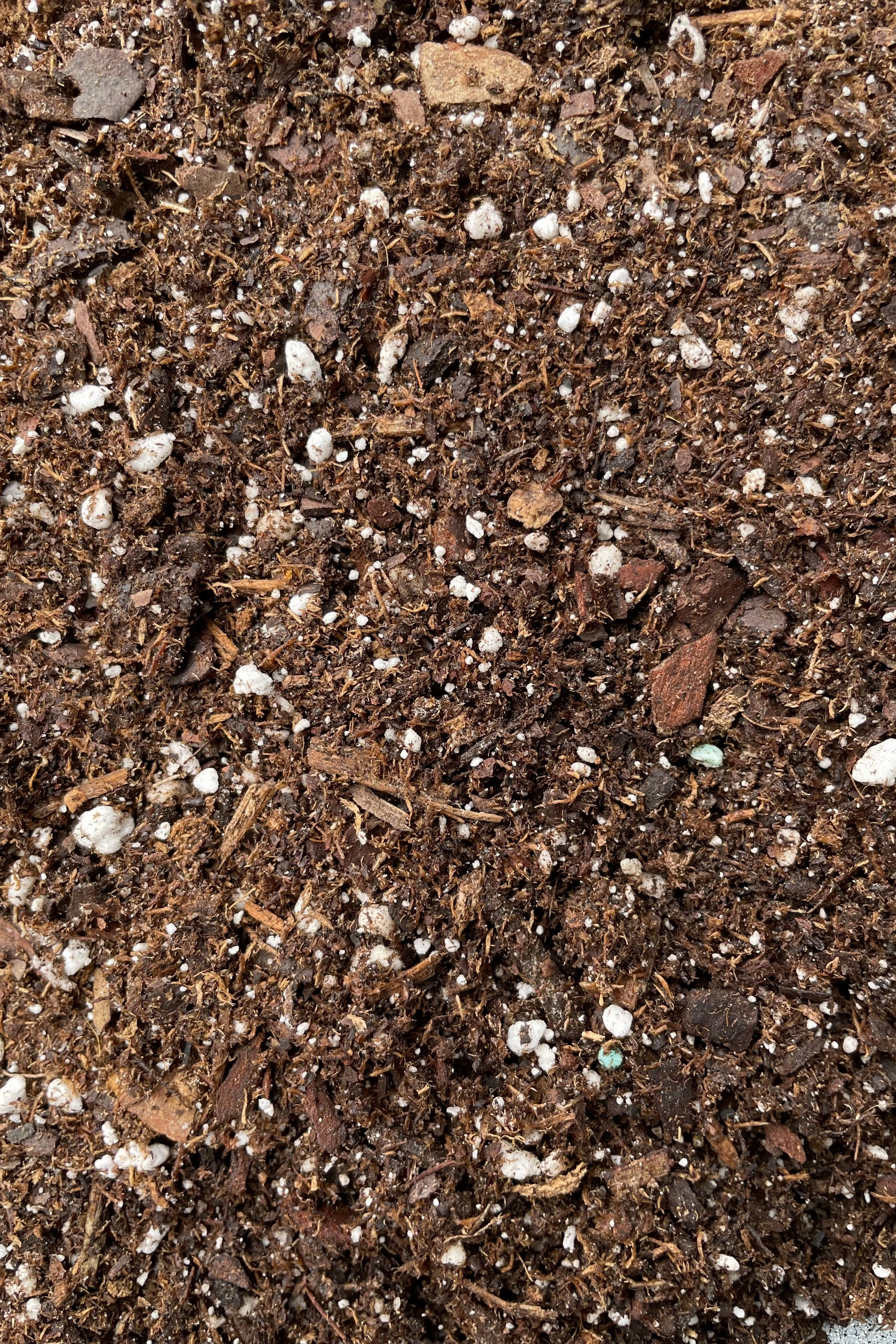 Pop-up bag of Potting Soil