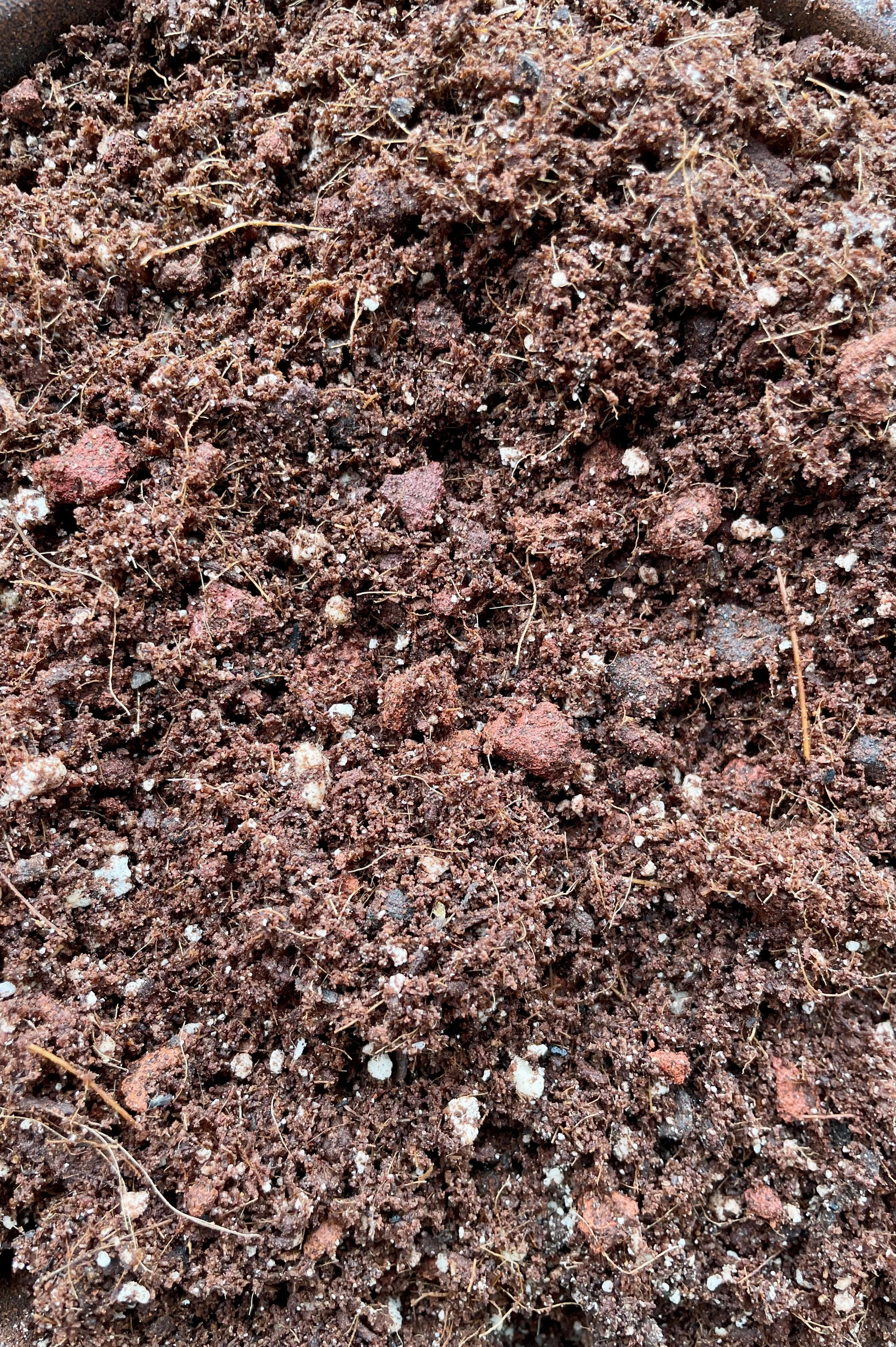 Pop-up bag of Succulent Soil