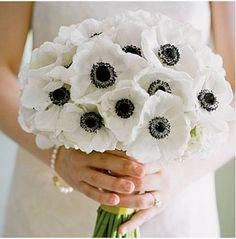 Poppy Black eye Susan bunch 6/bunch PU Material Floramatique Real Touch (Light Pink)-SB221LP