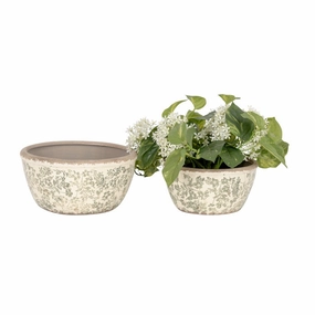 Pot Green Flower Shallow,terracotta plant pot