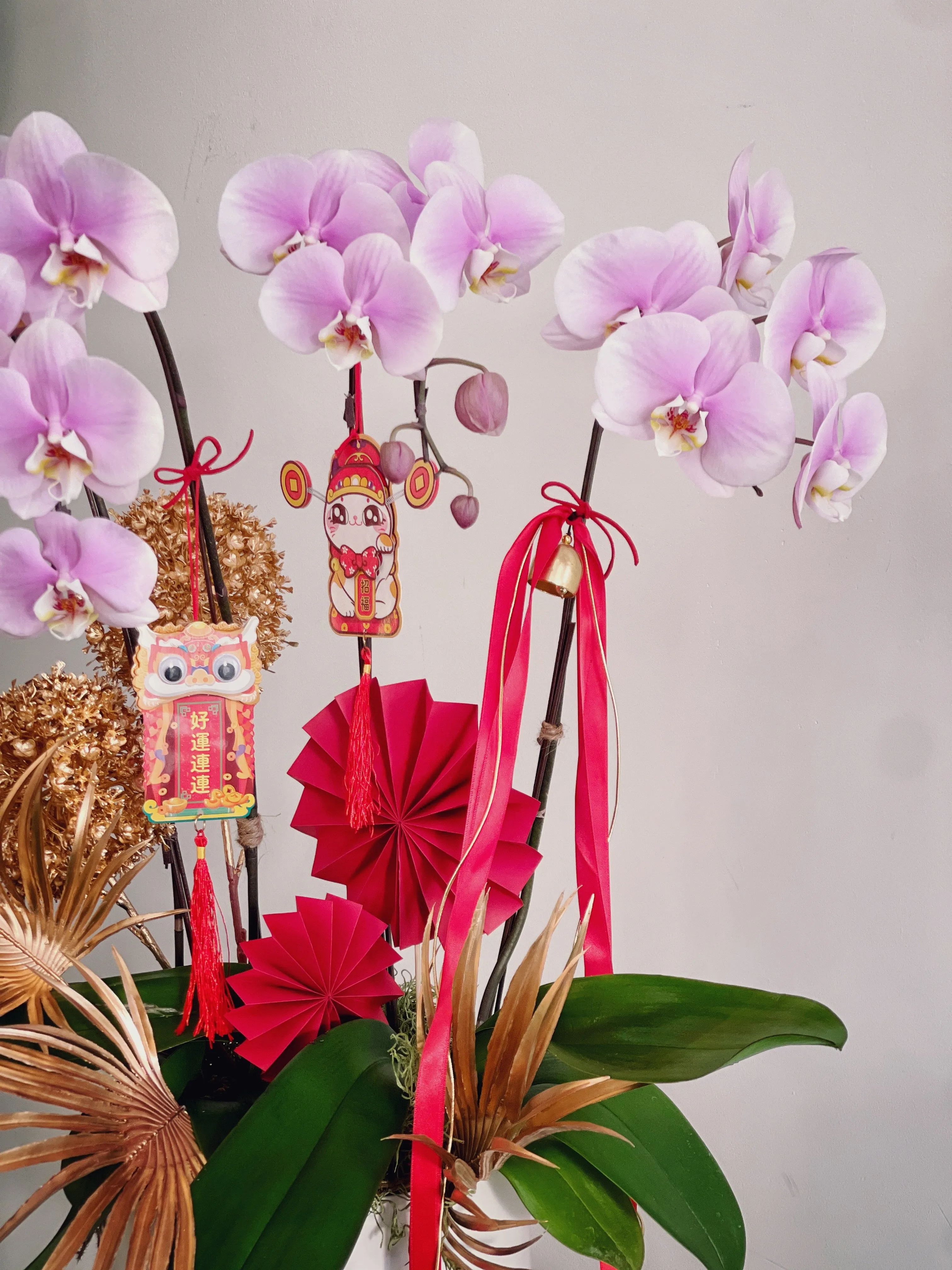 Potted Dragon Dance