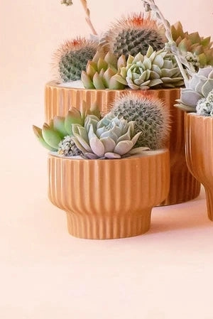 Presley Pedestal Planter Ginger 4.5"