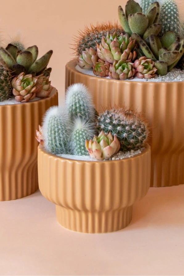 Presley Pedestal Planter Ginger 4.5"