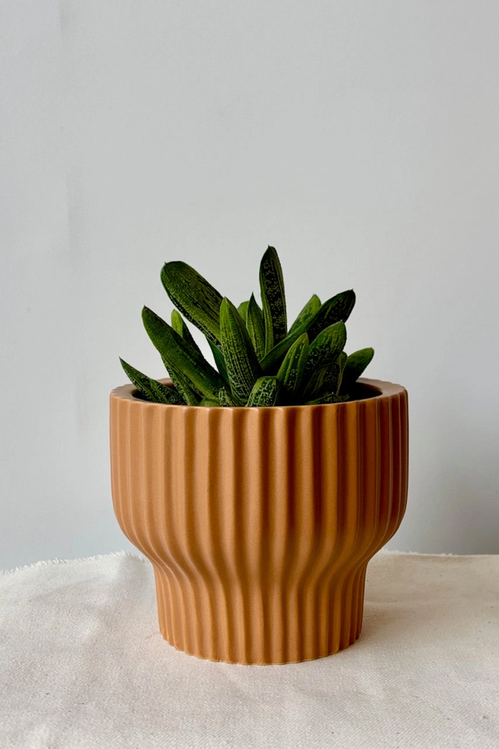 Presley Pedestal Planter Ginger 5.5"