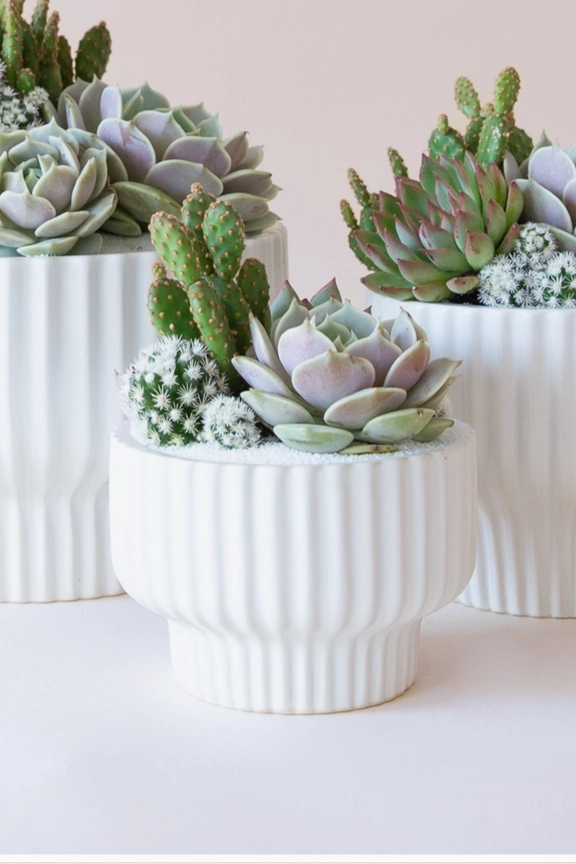 Presley Pedestal Planter White 5.5"