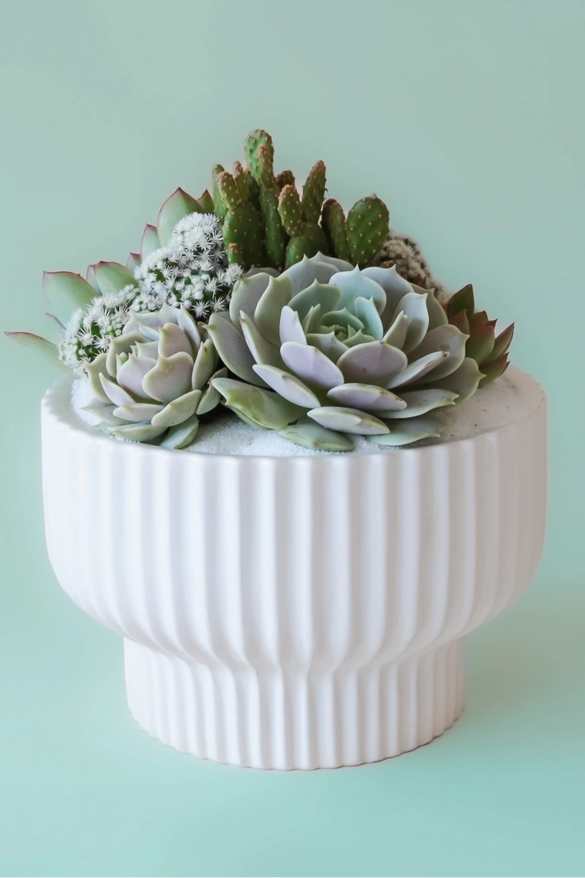 Presley Pedestal Planter White 8"
